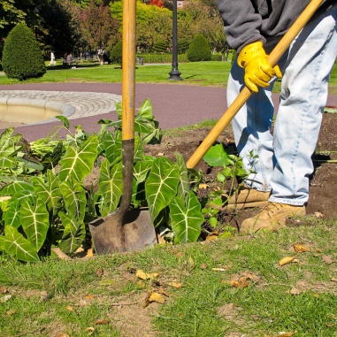 additional landscape services