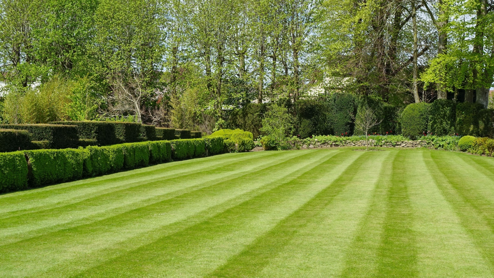 Lawn Mowing