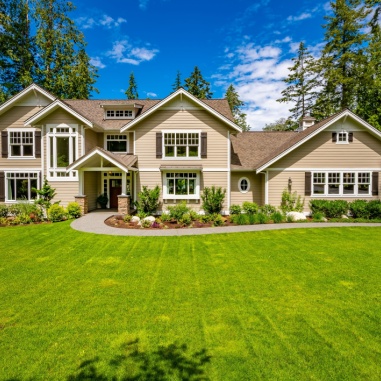 landscape design