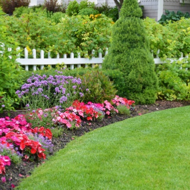 landscape design