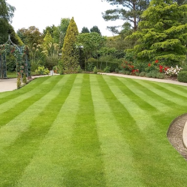 lawn mowing