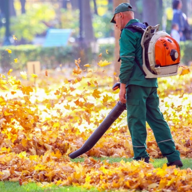 lawn care cleanup leaf removal