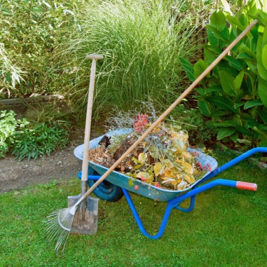 lawn cleanup