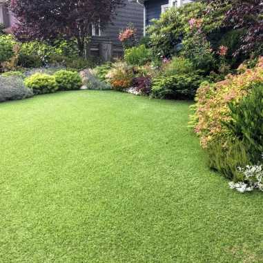 lawn cleanup benefits