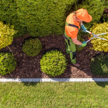 lawn cleanup