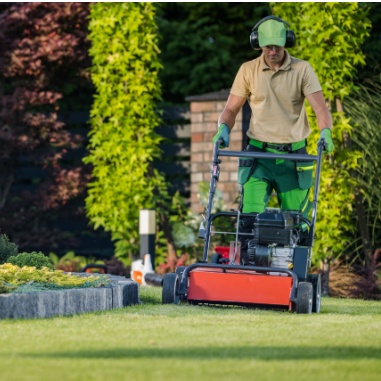 lawn mowing services
