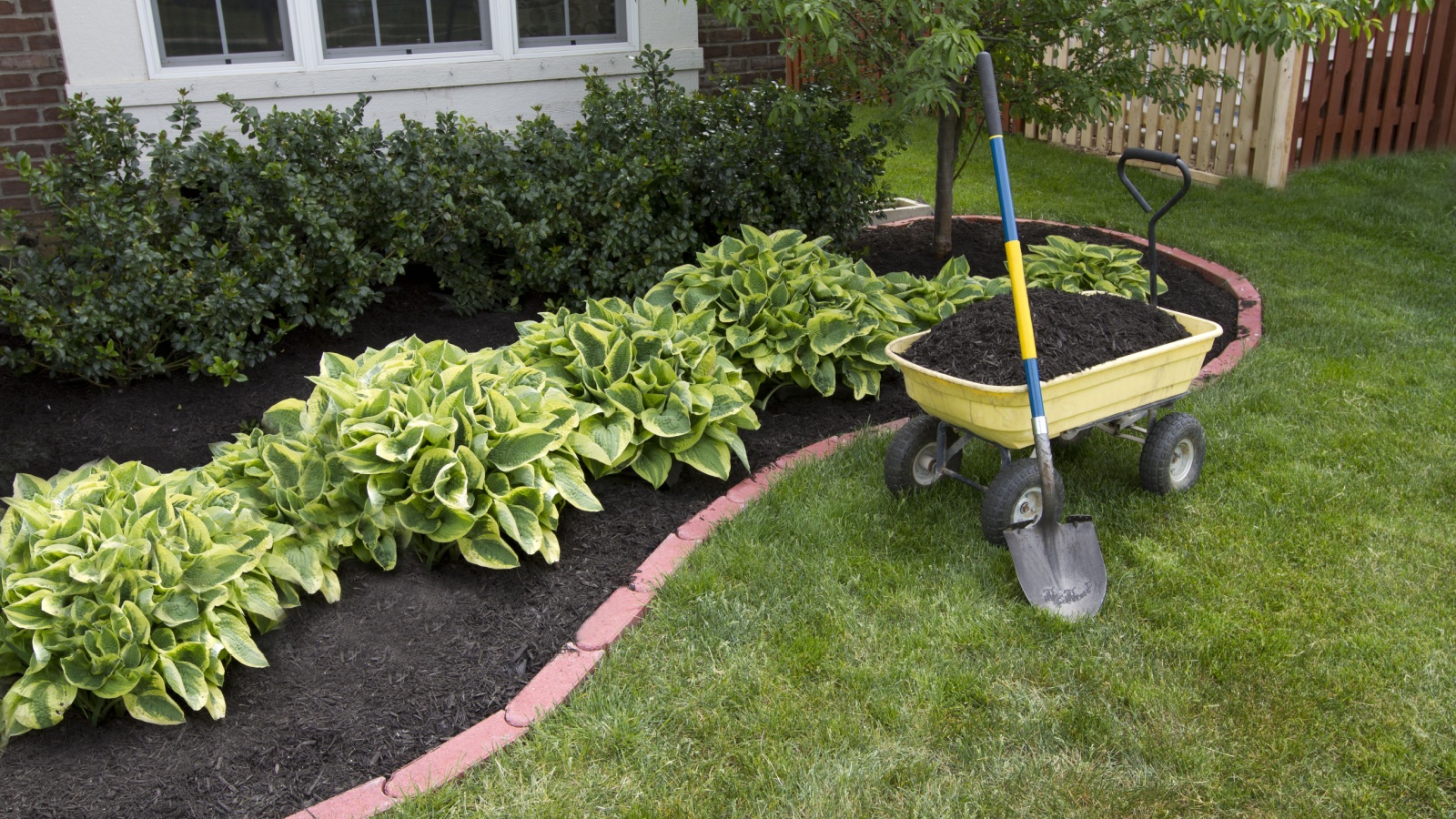 mulch installation