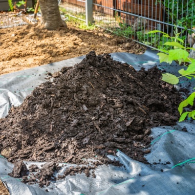 mulch installation