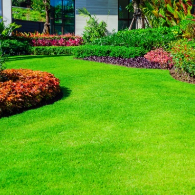 shrub trimming cost