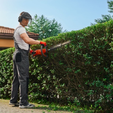 shrub trimming