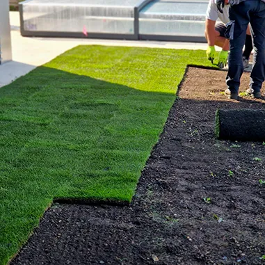 sod installation services