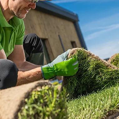 sod installation services
