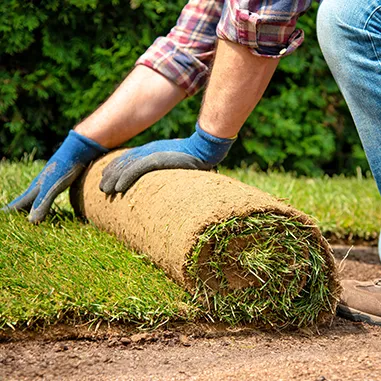 sod installation services