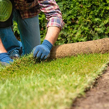 sod-install-05