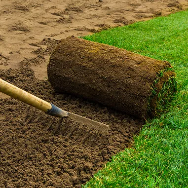 sod-install-06