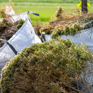 yard cleanup cost