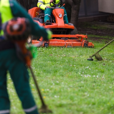 about grassland lawn and landscape