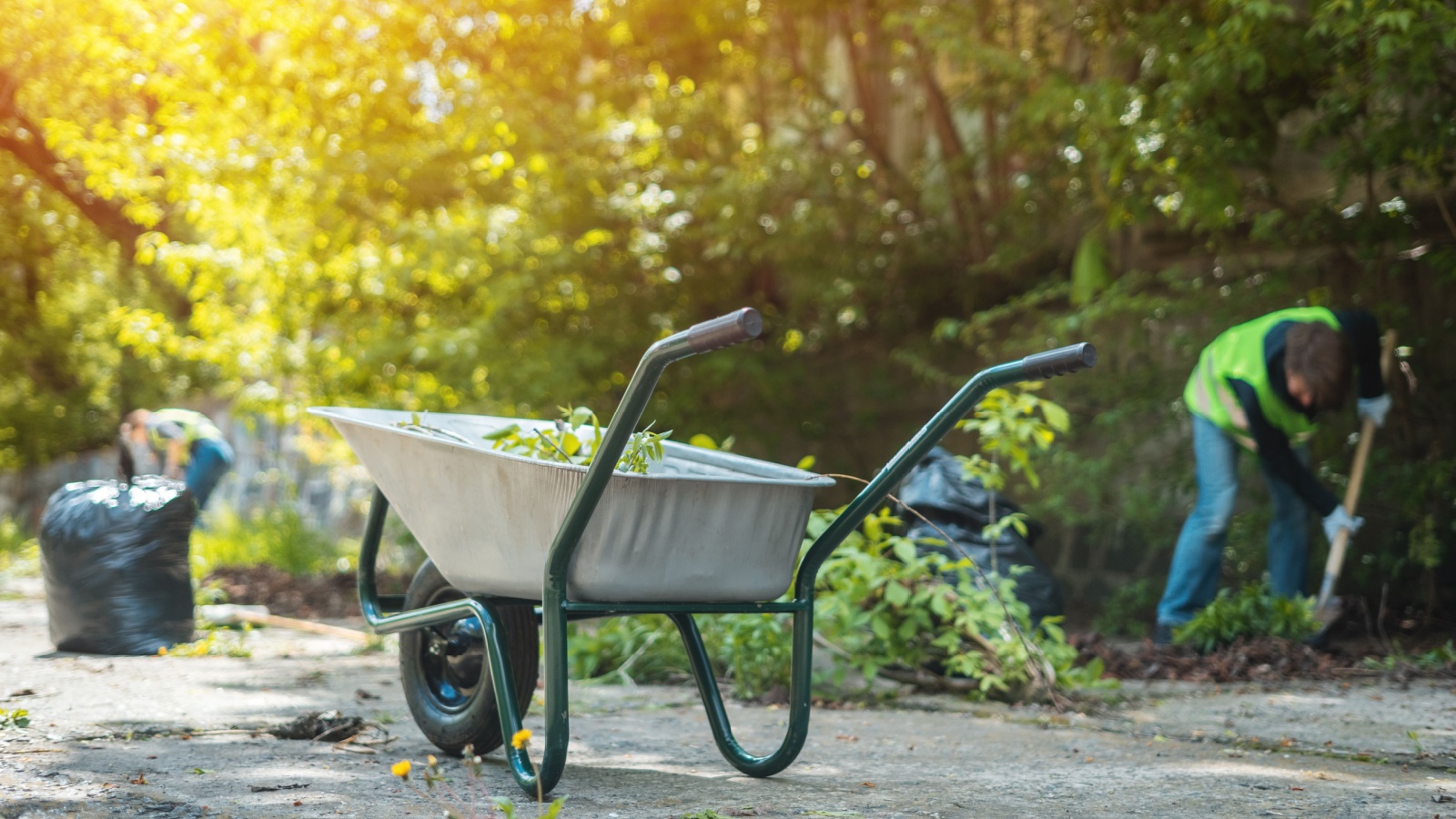 spring cleanup services