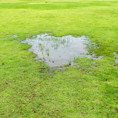 french drain installation